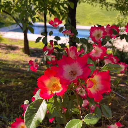 Agriturismo San Fabio 卡斯德尔诺沃贝拉登卡 外观 照片