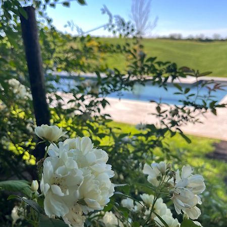 Agriturismo San Fabio 卡斯德尔诺沃贝拉登卡 外观 照片