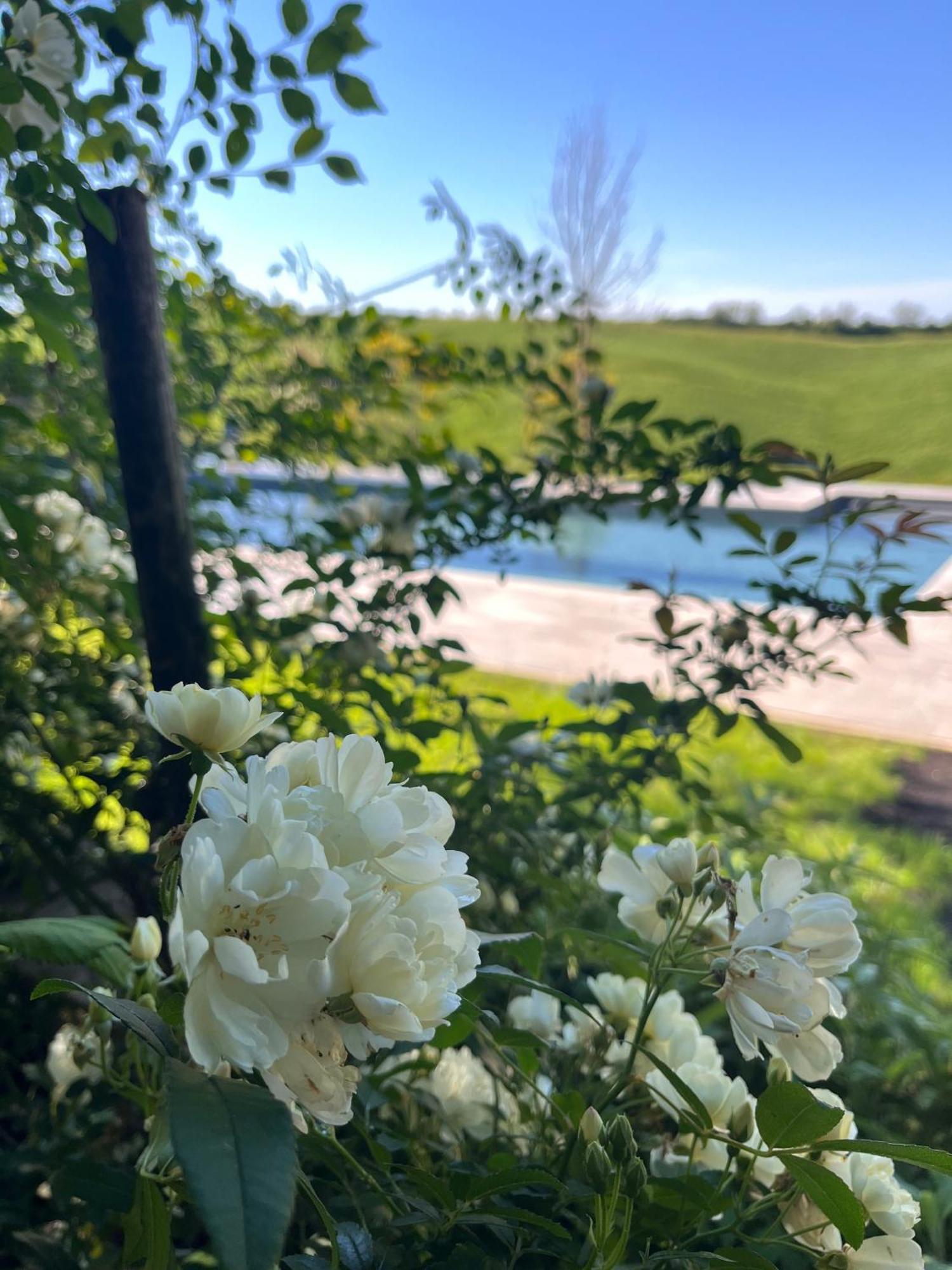 Agriturismo San Fabio 卡斯德尔诺沃贝拉登卡 外观 照片